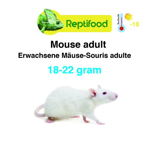 Diepvries muis volwas 18-22 gr. 25 stuks