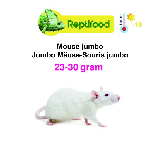 Diepvries muis 23-30 gram 25 st.