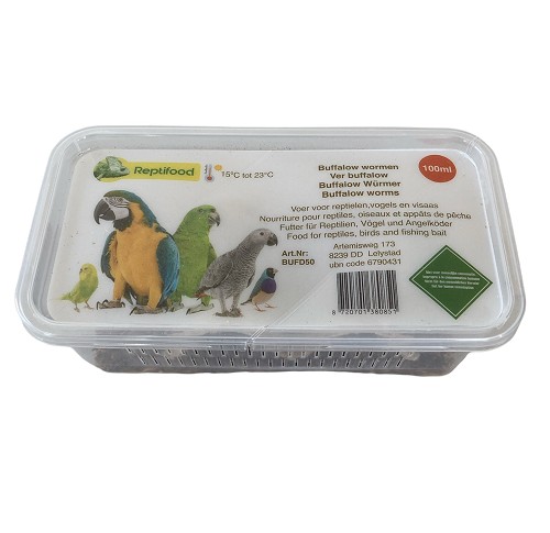 Buffalo worms in box