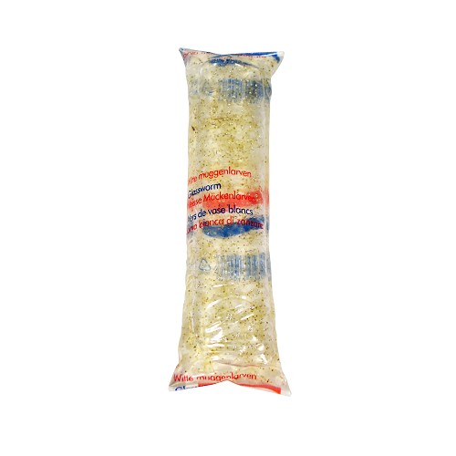 Life fish food White mosquito larvae in a 100 ml bag