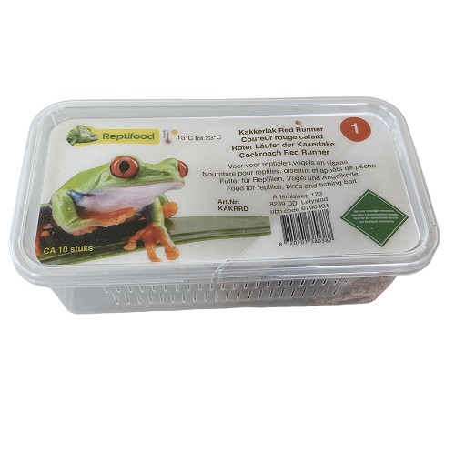 Cockroach Red Runner in box