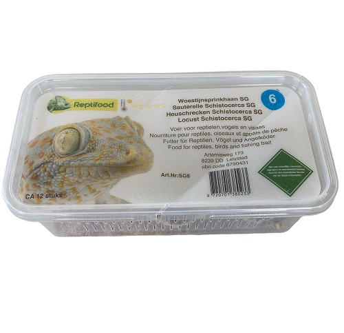 Woestijnsprinkhaan maat 6 in doosje