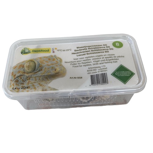 Woestijnsprinkhaan maat 8 in doosje