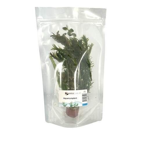 Bunch cold water mix 3 varieties


