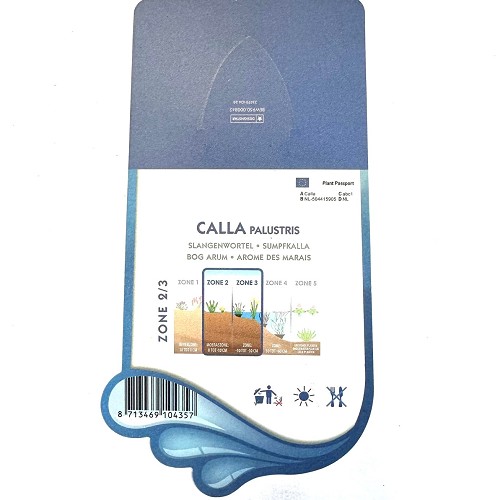 Calla palustris - Slangenwortel