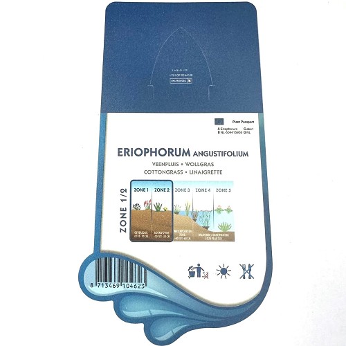 Eriophorum angustifolium-Veenpluis