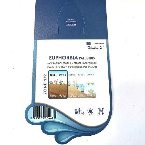 Euphorbia palustris - Moeraswolfsmelk