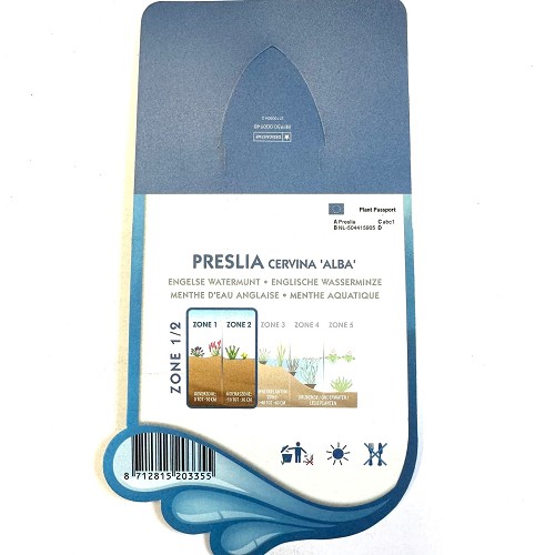 Preslia cervina álba'- Engelse watermunt