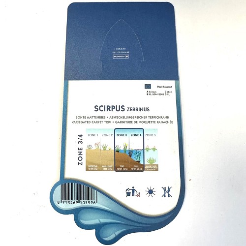 Scirpus zebrinus-Bonte mattenbies