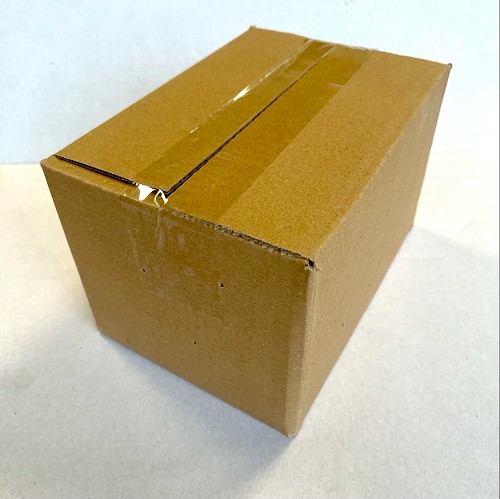 Sprinkhaan Locusta maat 6 in bulk