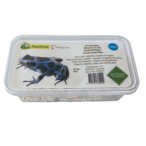 Curl flies in box