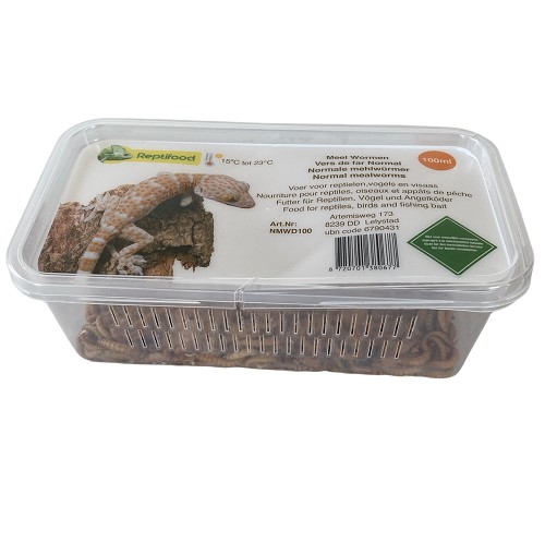 Mealworms in box