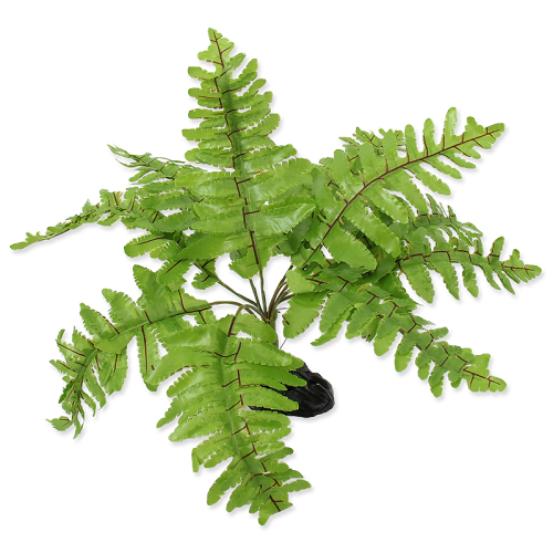 Artificial plant (Nephrolepis) with realistic processing

Suitable for terrariums where live plants can be damaged or consumed by a terrarium animal