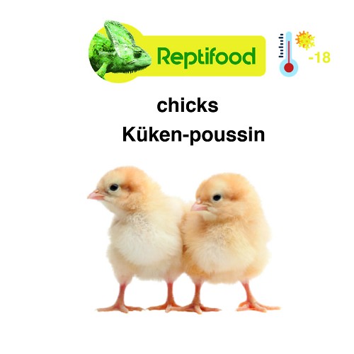 Frozen baby chicks packed per 1 kg.